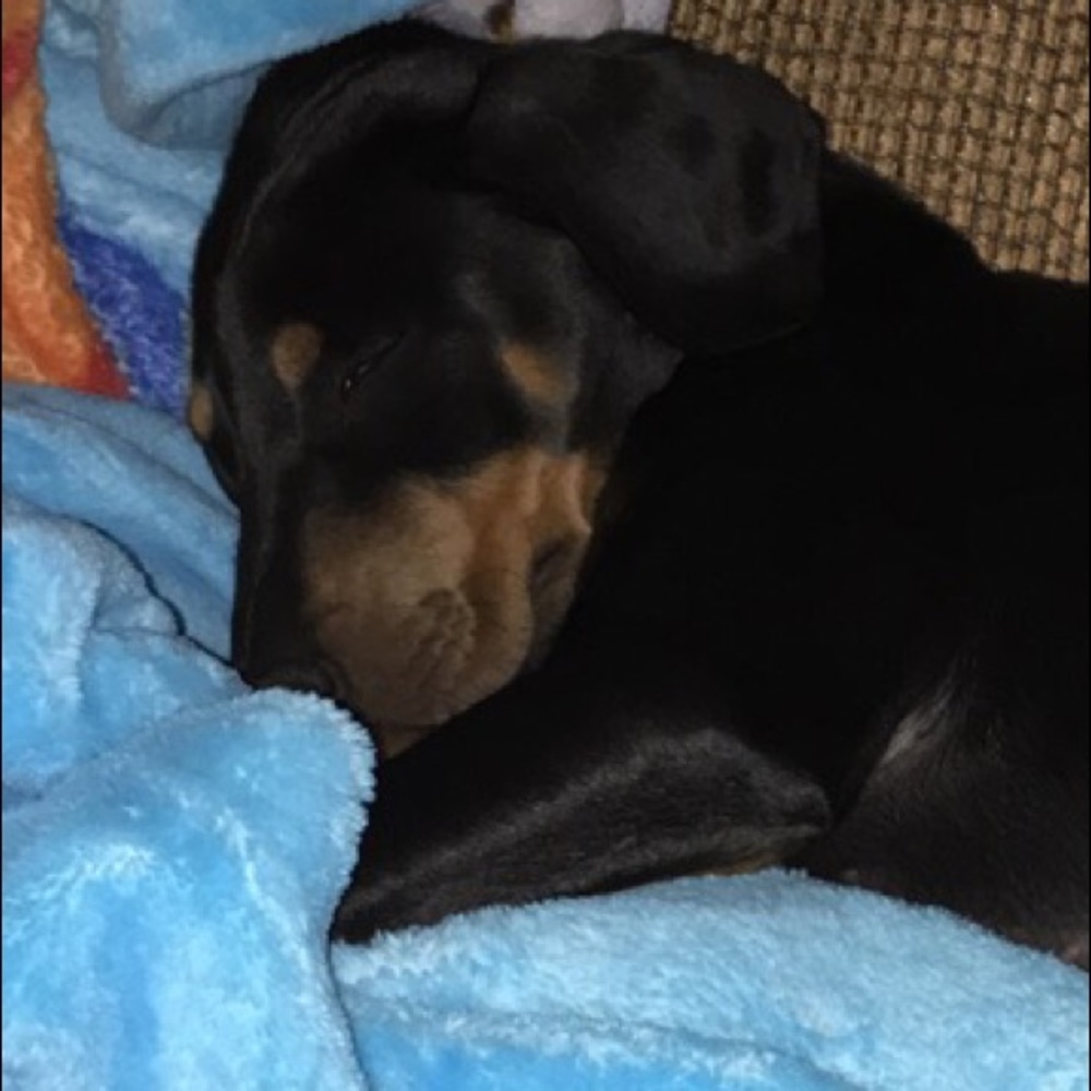 Meet your Posher, Bianca